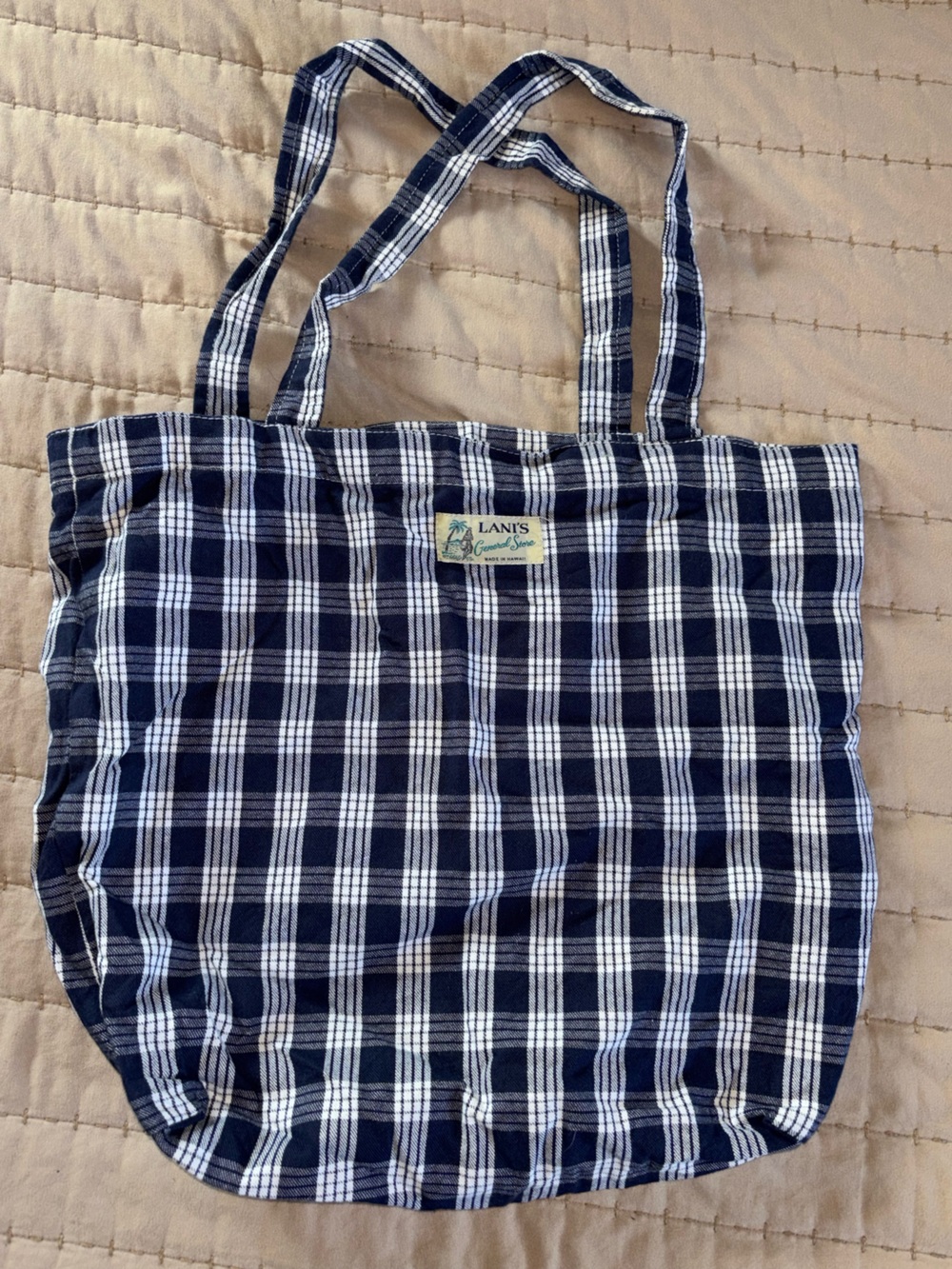 Lani Navy and White Palaka Everyday Tote